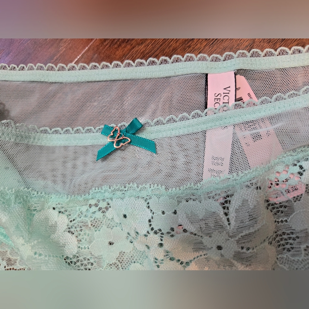 NWT Victoria’s Secret Body By Victoria Mint Floral Lace Mesh Hiphugger Panty L - Picture 3 of 6